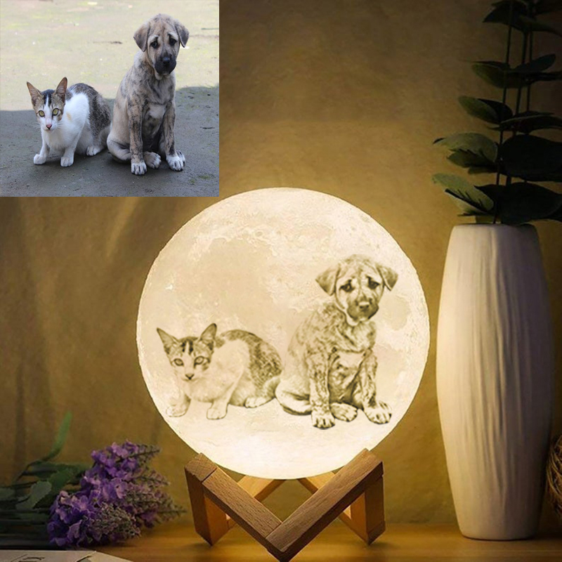 Custom Pet Photo 3d Moon Lamp Personalized Night Light
